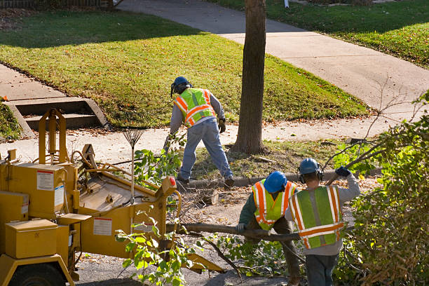 Best Lawn Irrigation Installation and Maintenance  in Meridian, MS